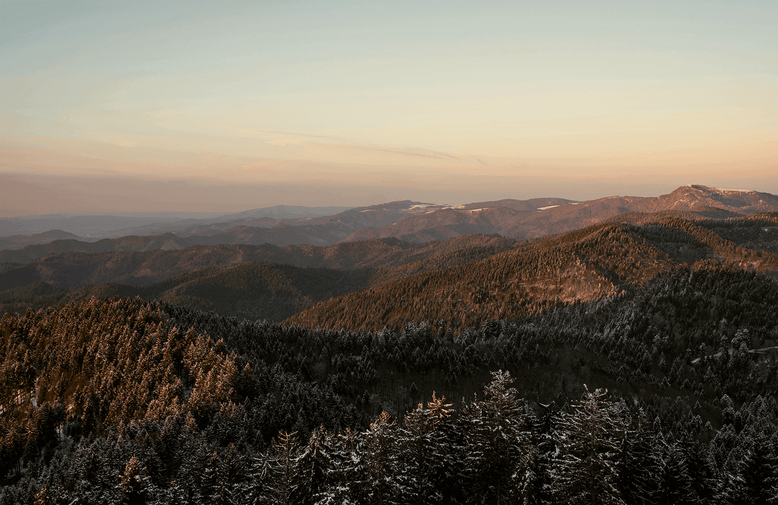Schwarzwaldpanorama bei Sonnenuntergang mit schneebedecktem Fichtenwald im Vordergrund und gestaffelten Hügeln zum Horizont