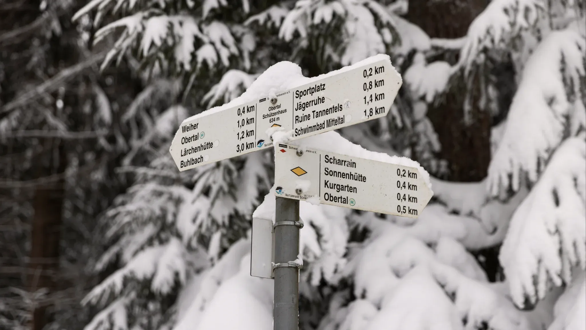 Verschneiter Wanderwegweiser mit Zielangaben vor tief verschneiten Tannen.