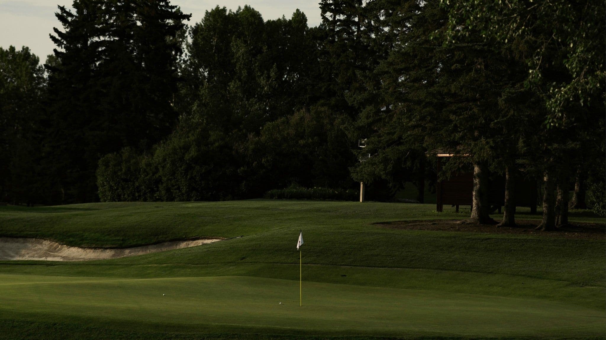 Gepflegtes Grün eines Golfplatzes mit Fahne und Sandbunker vor dunklen Nadelbäumen im Abendlicht.
