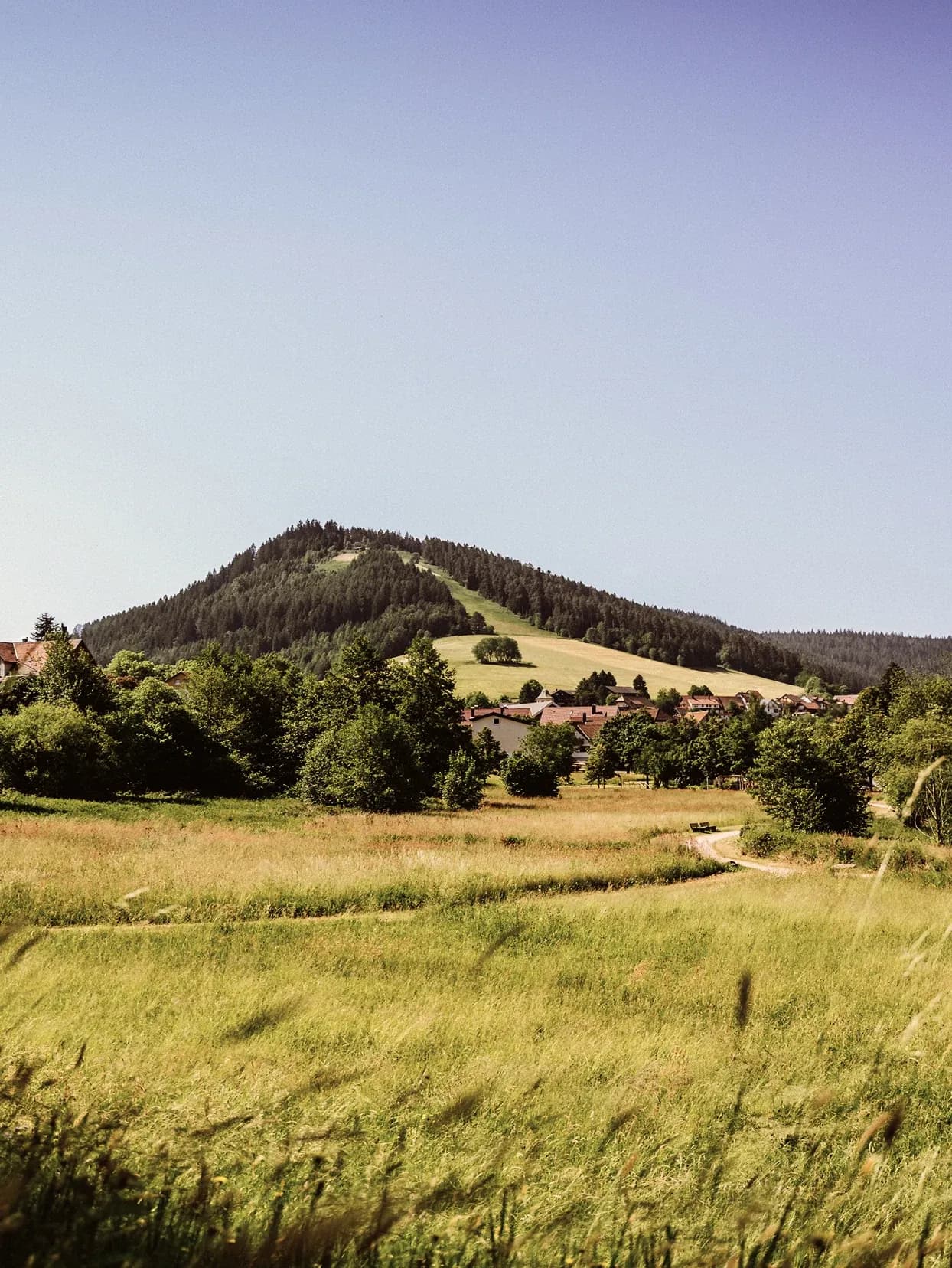 Sommerliche Bergwiese mit bewaldetem Hügel unter weitem Himmel